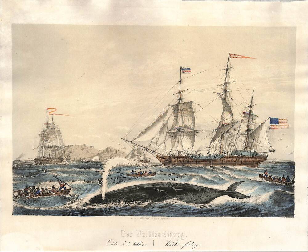 Lithografie "Der Wallfischfang"